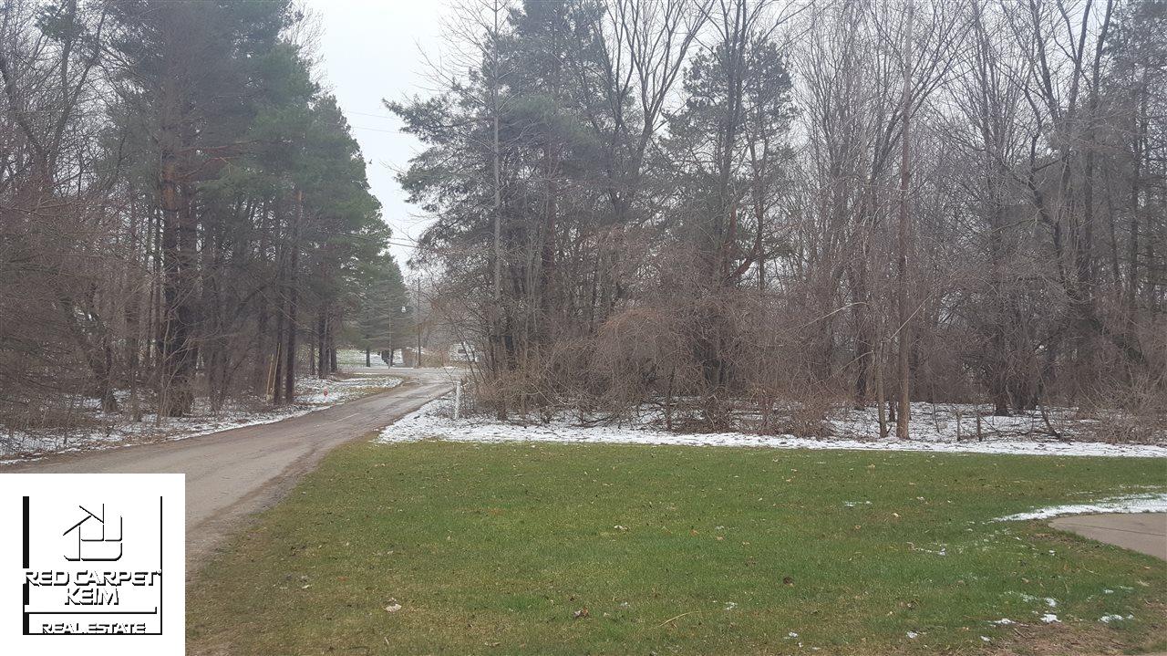 5375 East Mt Morris Road Mount Morris, MI 48458 - Photo 29 of 30 Driveway to road.