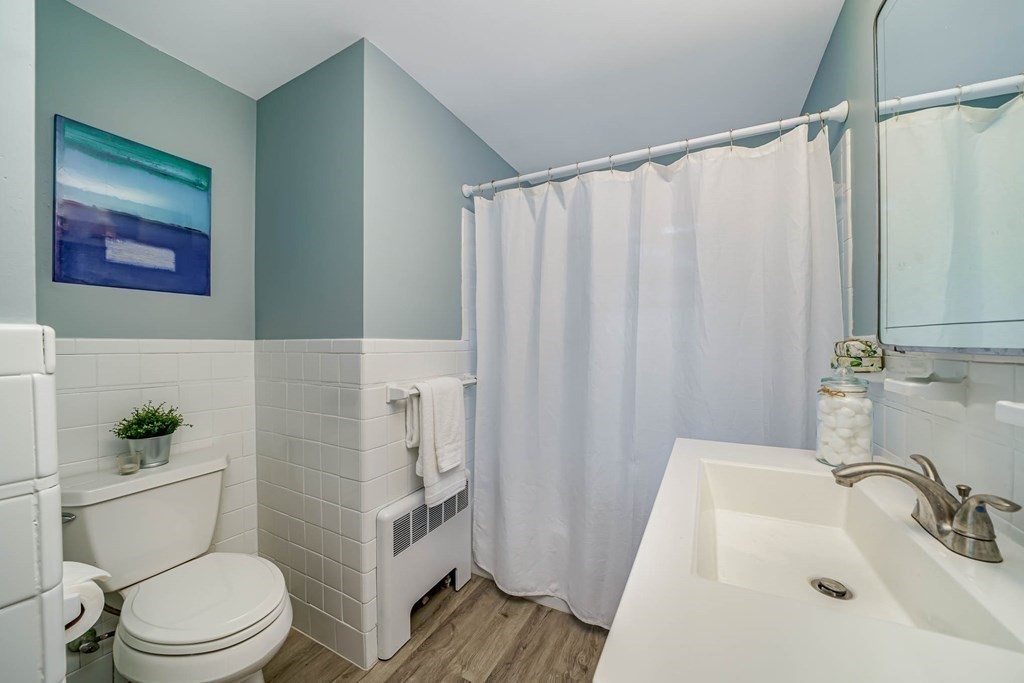 8 Woodland Road Boston, MA 02130 - Photo 23 of 31 Gallery Image 23