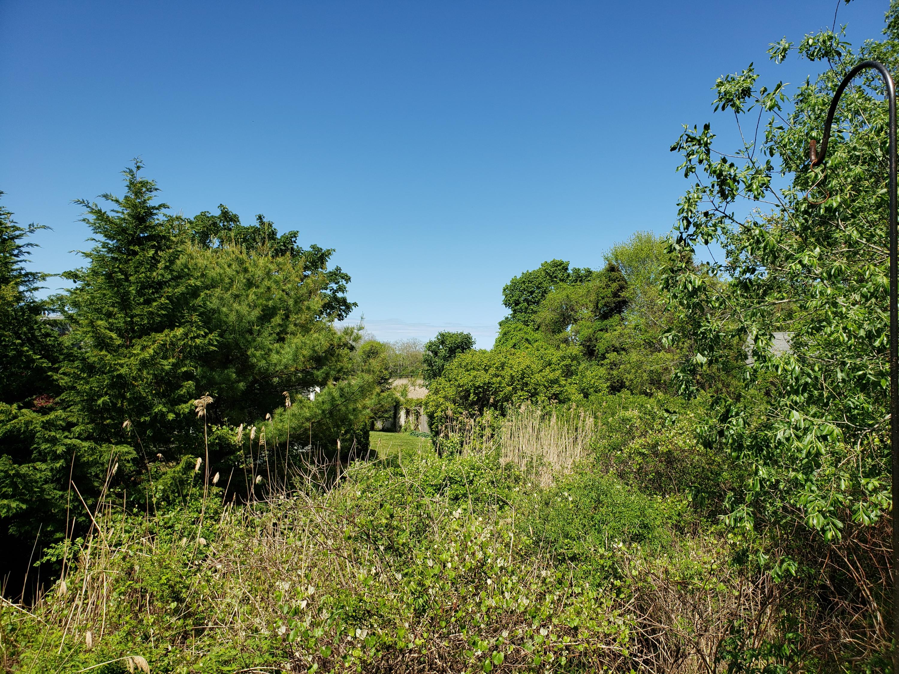 440 Mary Chase Road Eastham, MA 02642 - Photo 33 of 44 20200601_150437