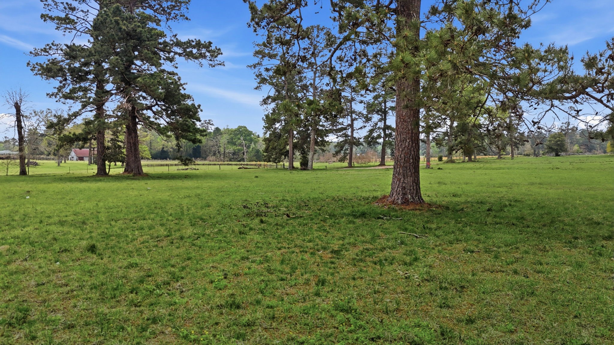 882 Four Notch Road Huntsville, TX 77340 - Photo 11 of 41 Gallery Image 11