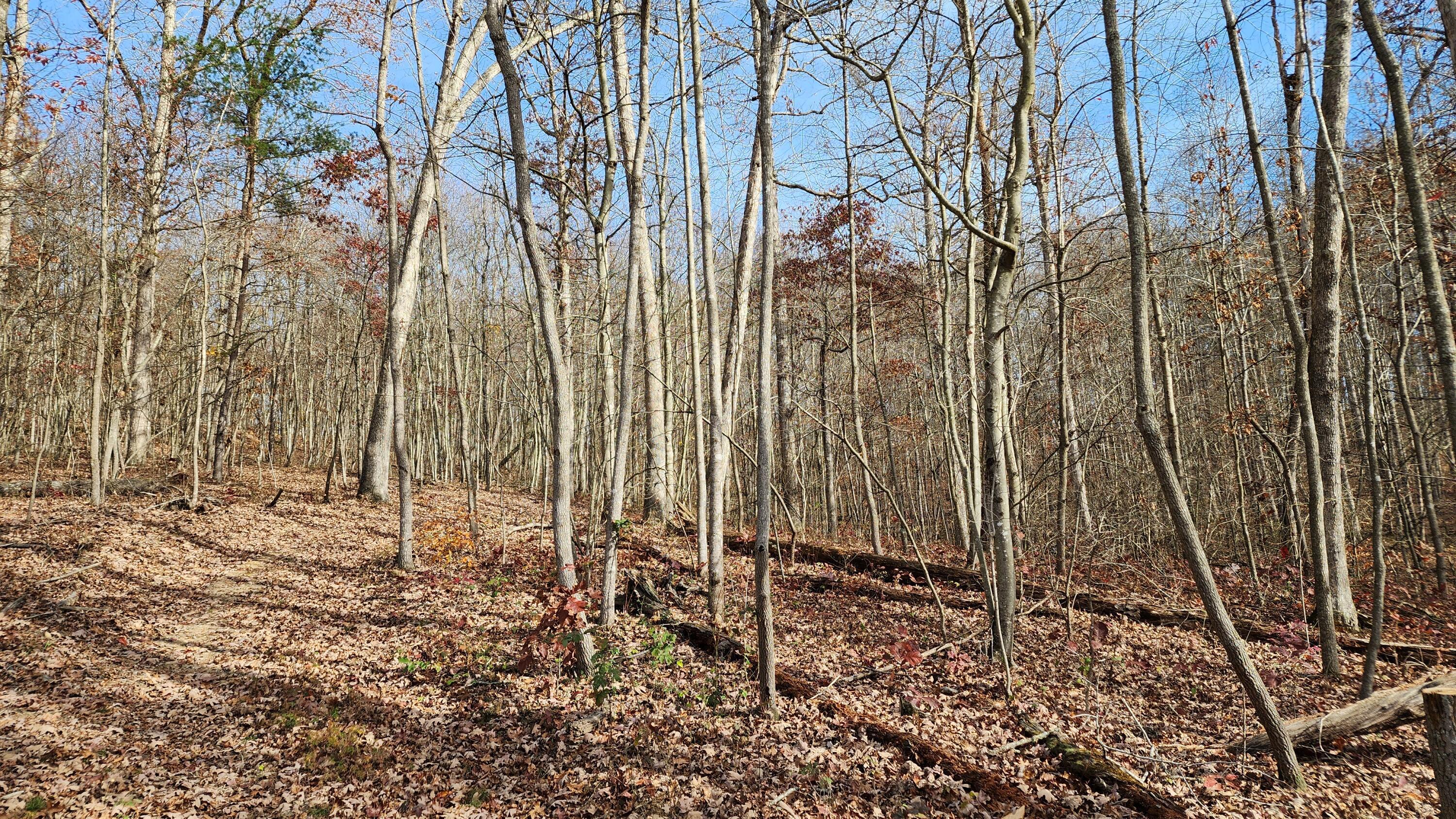 0 Jisco Road, Unit TRACT B) Jackson, OH 45640 - Photo 32 of 43 32