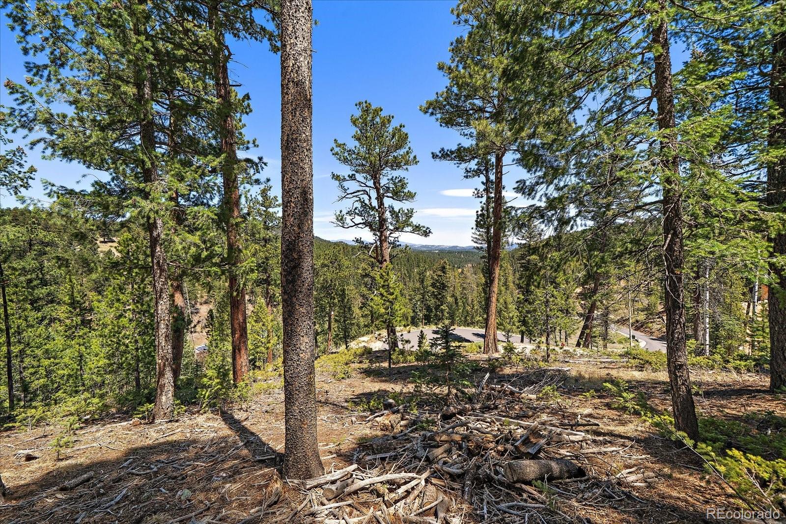 6855 Lynx Lair Road Evergreen, CO 80439 - Photo 13 of 21 a view of a tree in the yard