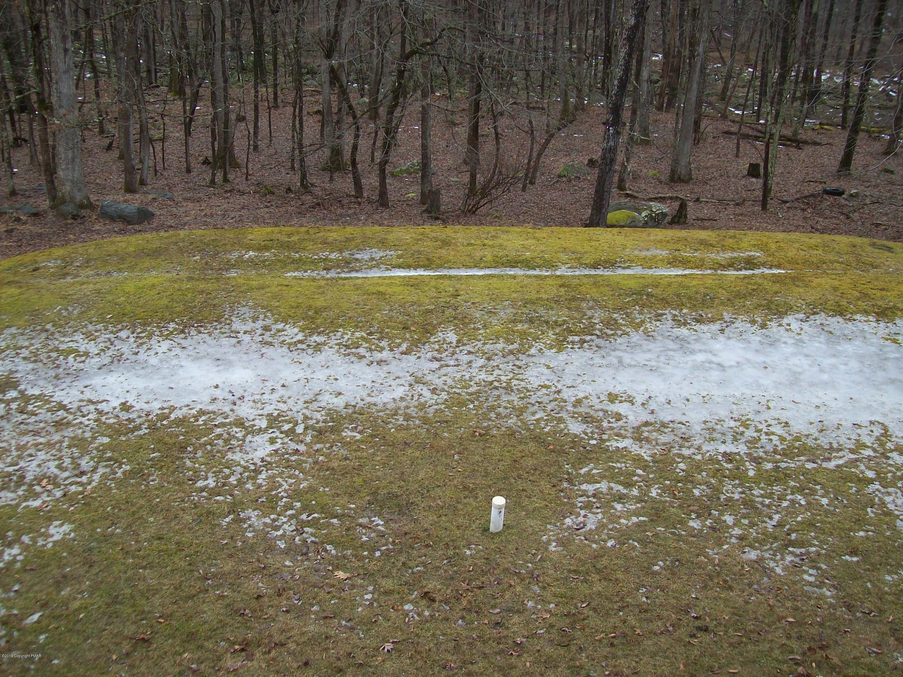 2153 Spring Drive Bushkill, PA 18324 - Photo 7 of 33 Back yard