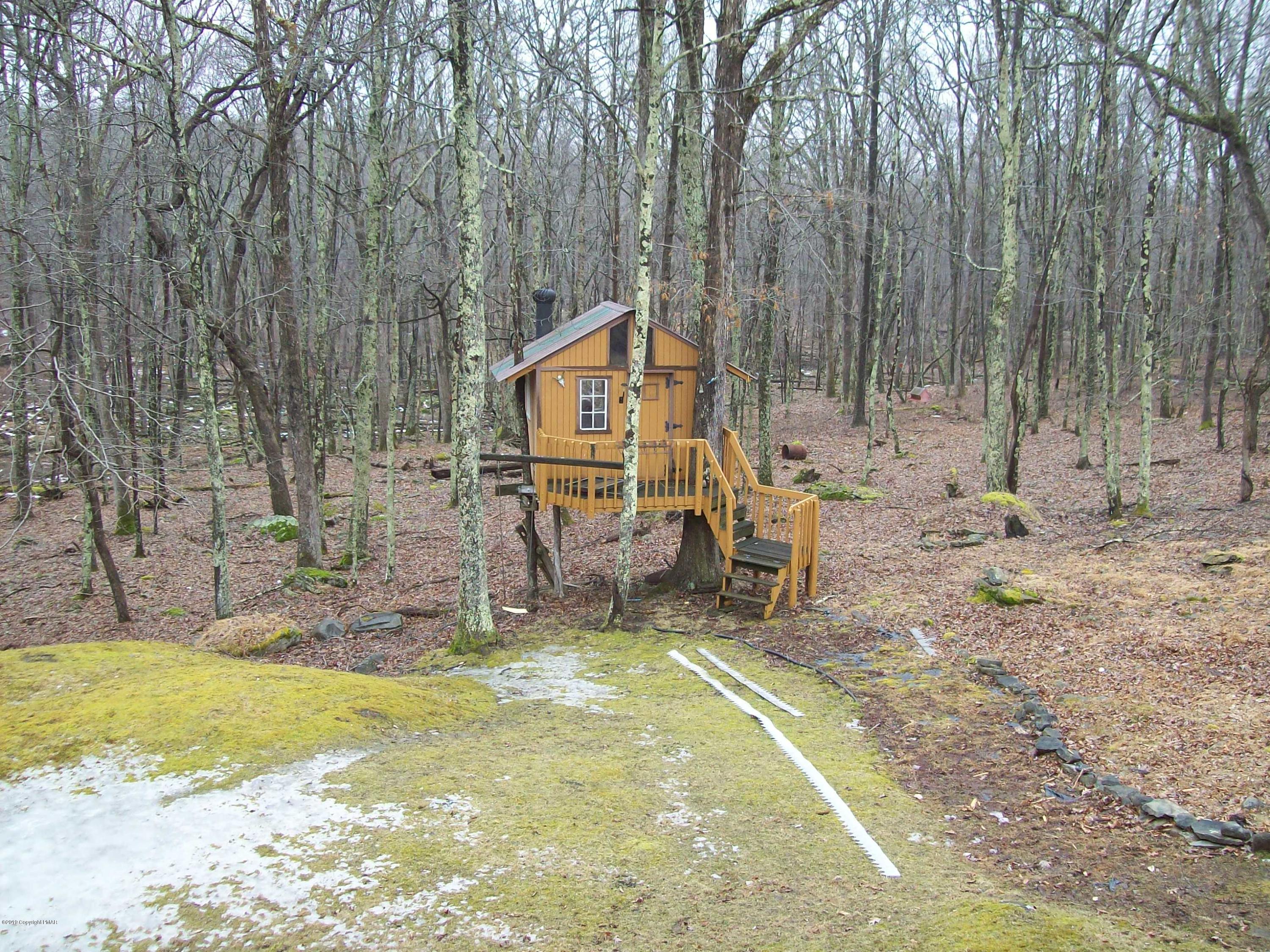 2153 Spring Drive Bushkill, PA 18324 - Photo 8 of 33 Back yard