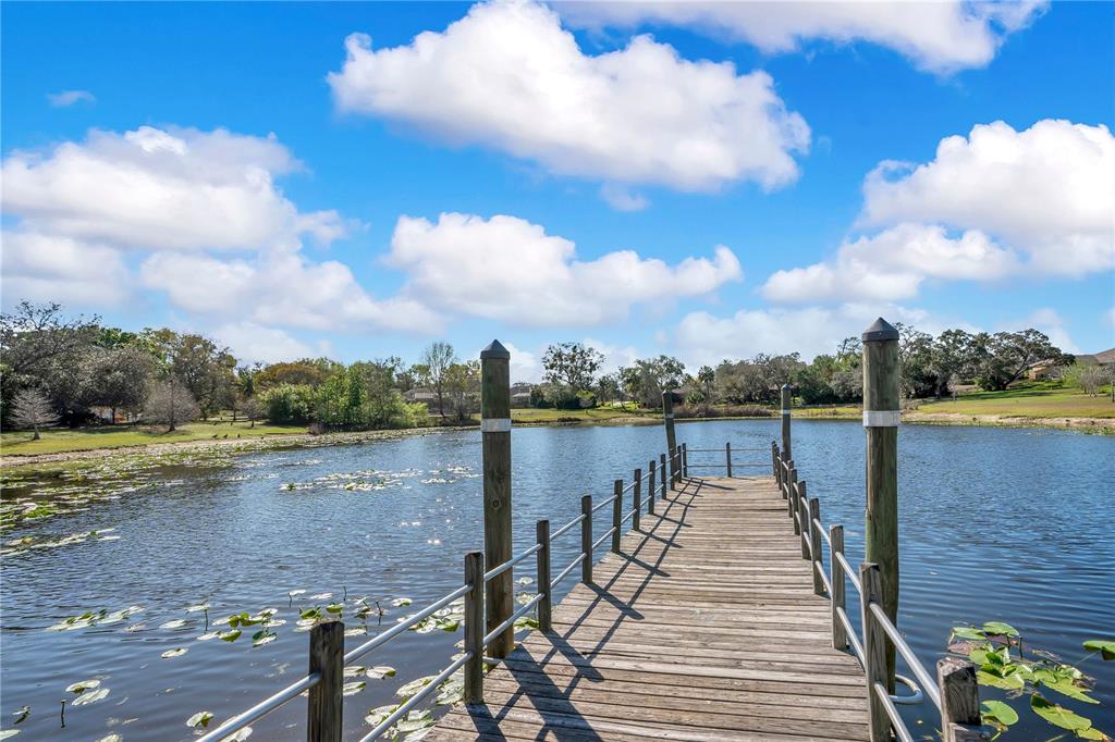 8431 Delaware Drive Weeki Wachee, FL 34607 - Photo 56 of 64