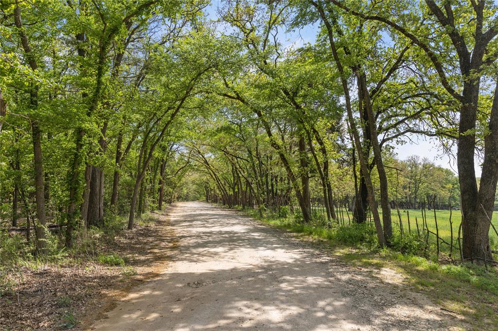 8016 Highway 82 Gainesville, TX 76240 - Photo 18 of 24 a view of outdoor space with deck and trees