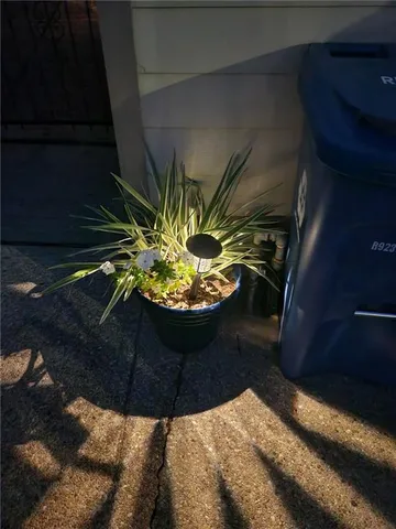 $2,000 | 1664 St Denis Street, New Orleans, LA 70122