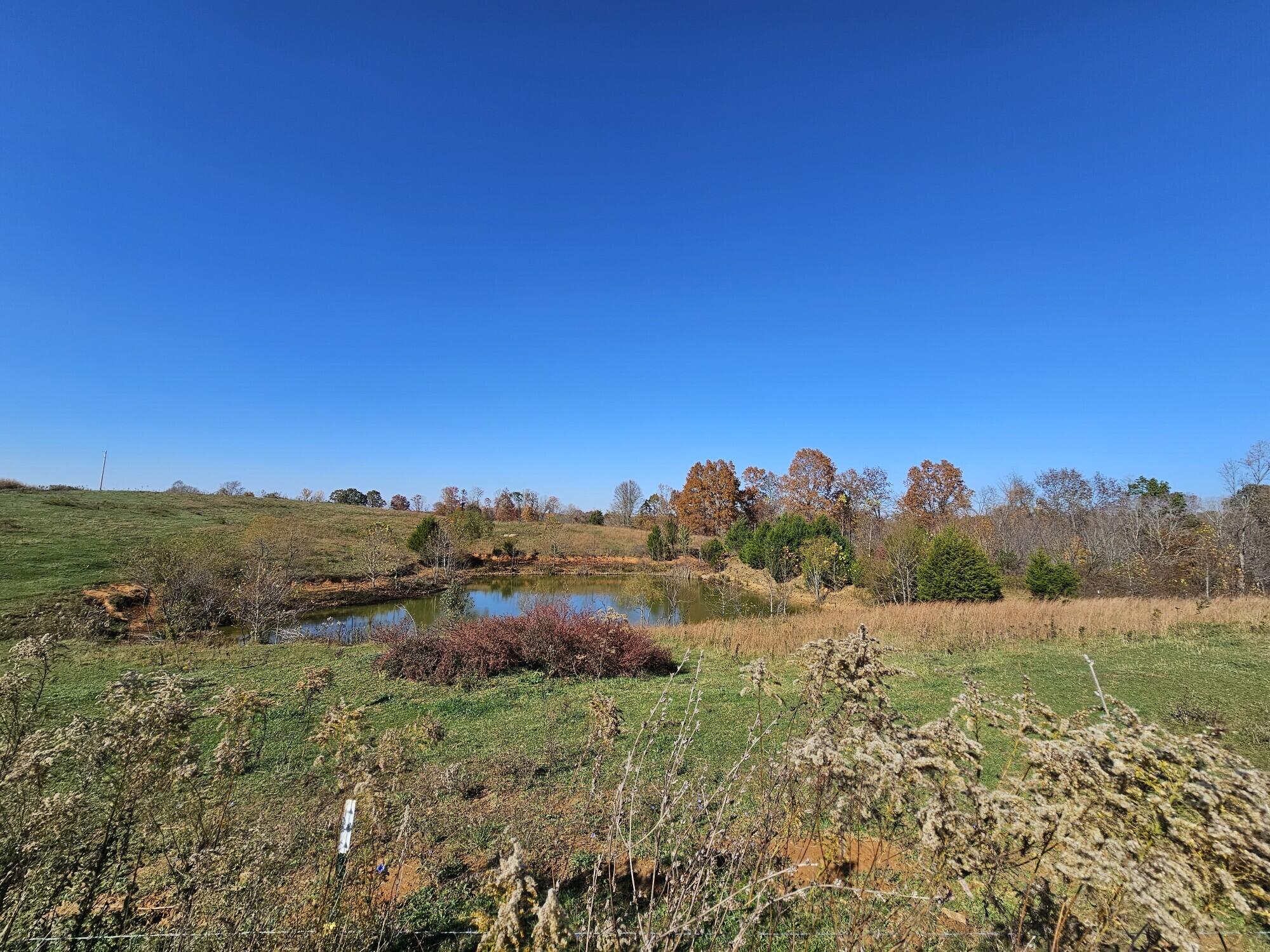 1659 Chicken Gizzard Road Liberty, KY 42539 - Photo 15 of 19 20231031_145625_copy_2000x1500