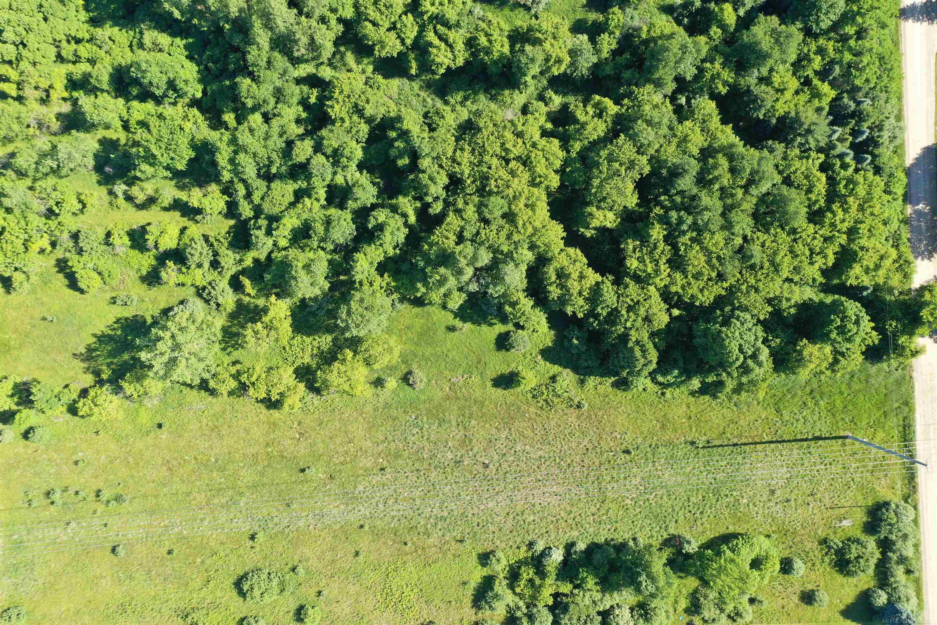 2-vl Babcock Road Jeddo, MI 48032 - Photo 2 of 15