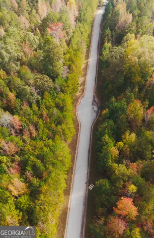 a view of a garden with a pathway