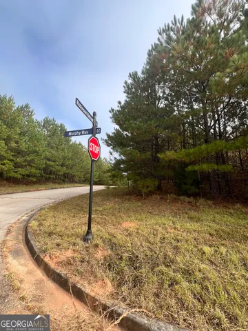 a flag is sitting in the middle of a yard