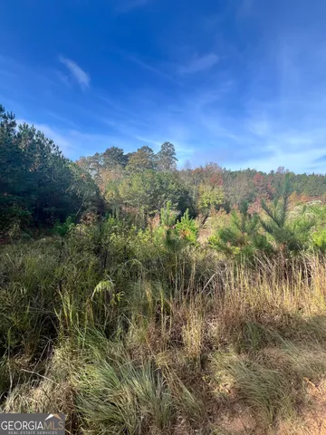 a view of outdoor space with trees