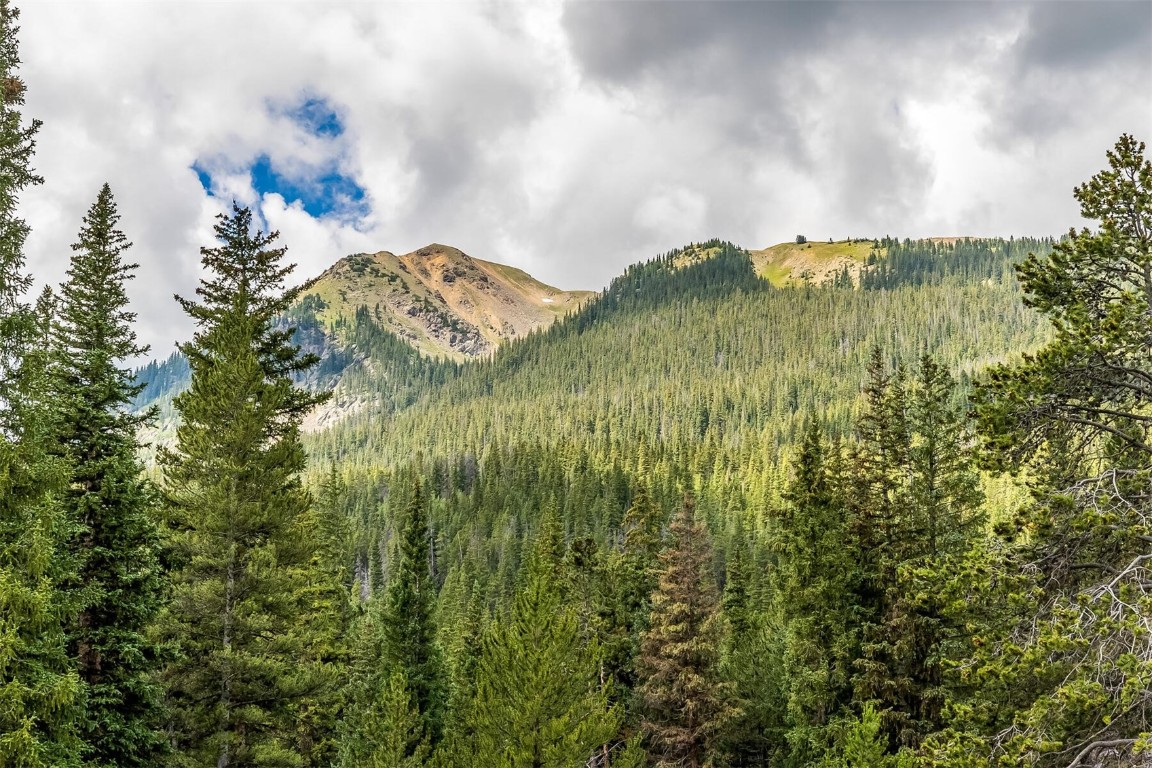 5115 Montezuma Road Montezuma, CO 80435 - Photo 6 of 35 a view of a big yard