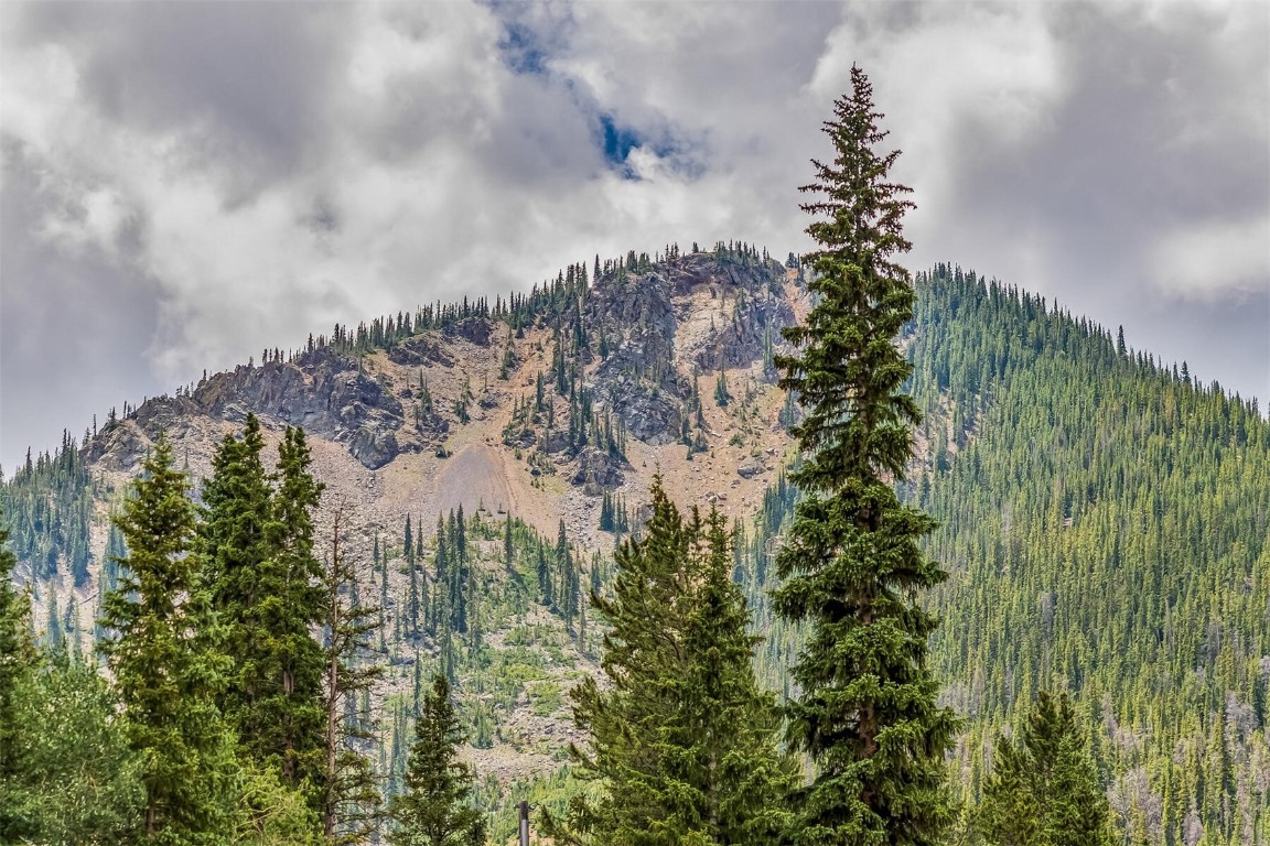 5115 Montezuma Road Montezuma, CO 80435 - Photo 8 of 35 a view of a bunch of trees