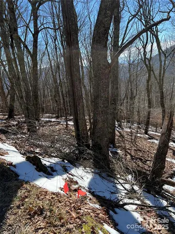 $9,500 | 0 Grouse Thicket Lane, Unit LOT 262, Burnsville, NC 28714