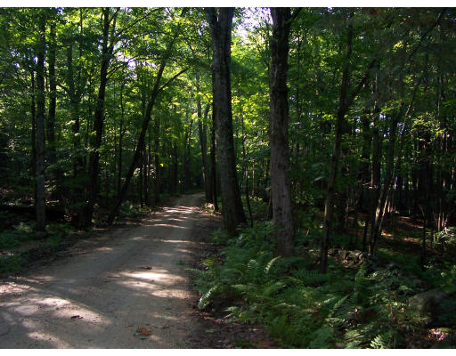 0 Doe Valley Road Petersham, MA 01366 - Photo 1 of 1