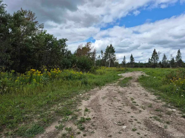$36,000 | W 40-acres West 40-acres Frenette Road, Gulliver, MI 49840