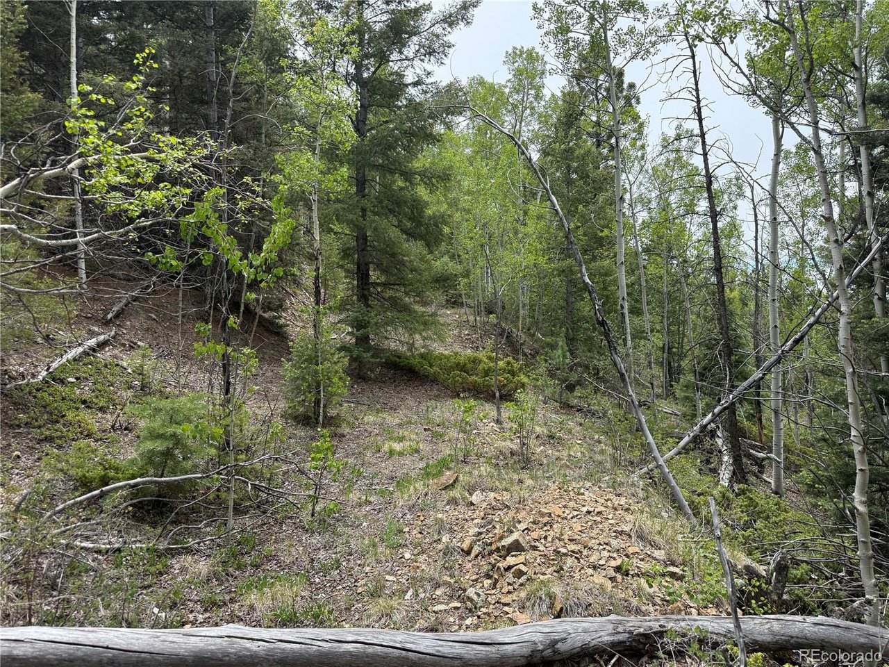 6795 Starkweather Road San Luis, CO 81152 - Photo 2 of 23 a view of a forest