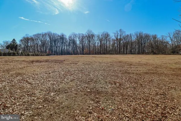 a view of a yard with trees
