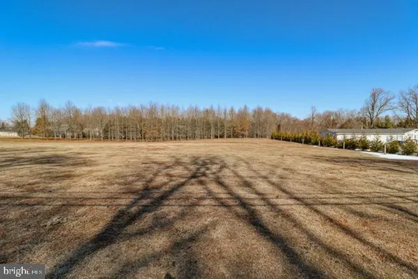 a view of a field with trees in the background