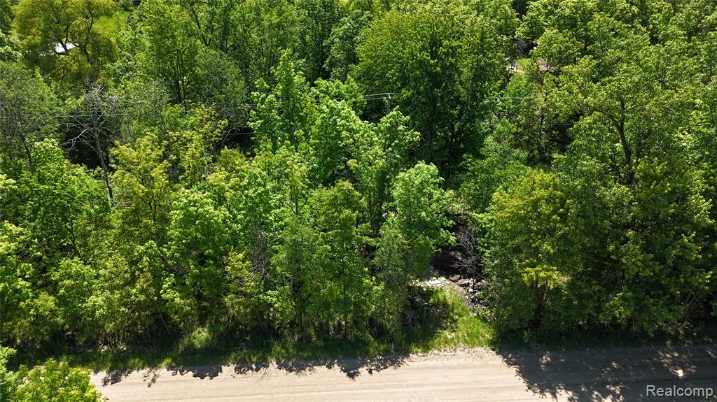 0 Williams Road Gaines, MI 48436 - Photo 2 of 28
