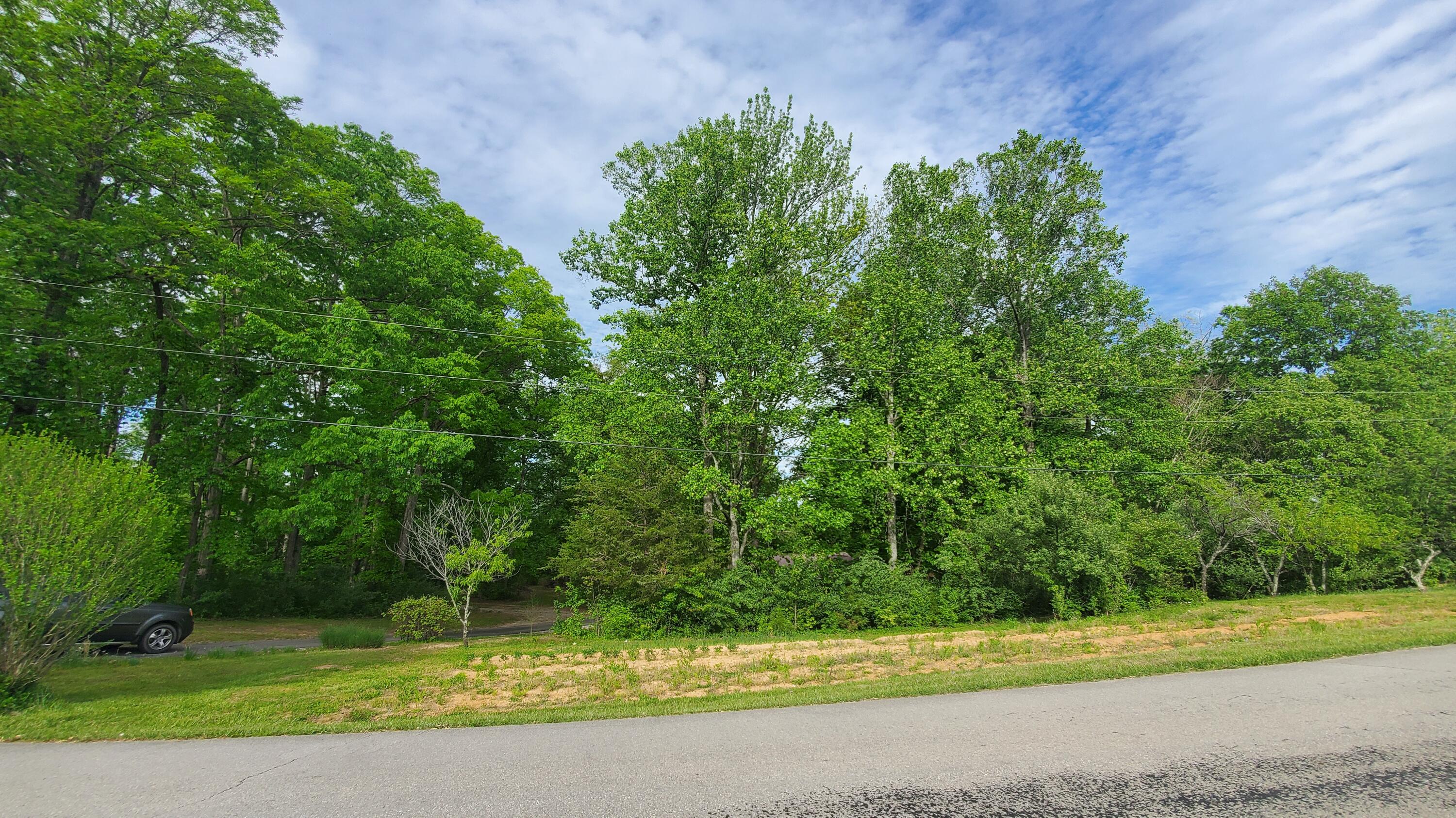 Lot 35-36 Burton Subdivision Road Nancy, KY 42544 - Photo 4 of 14 20230505_175334