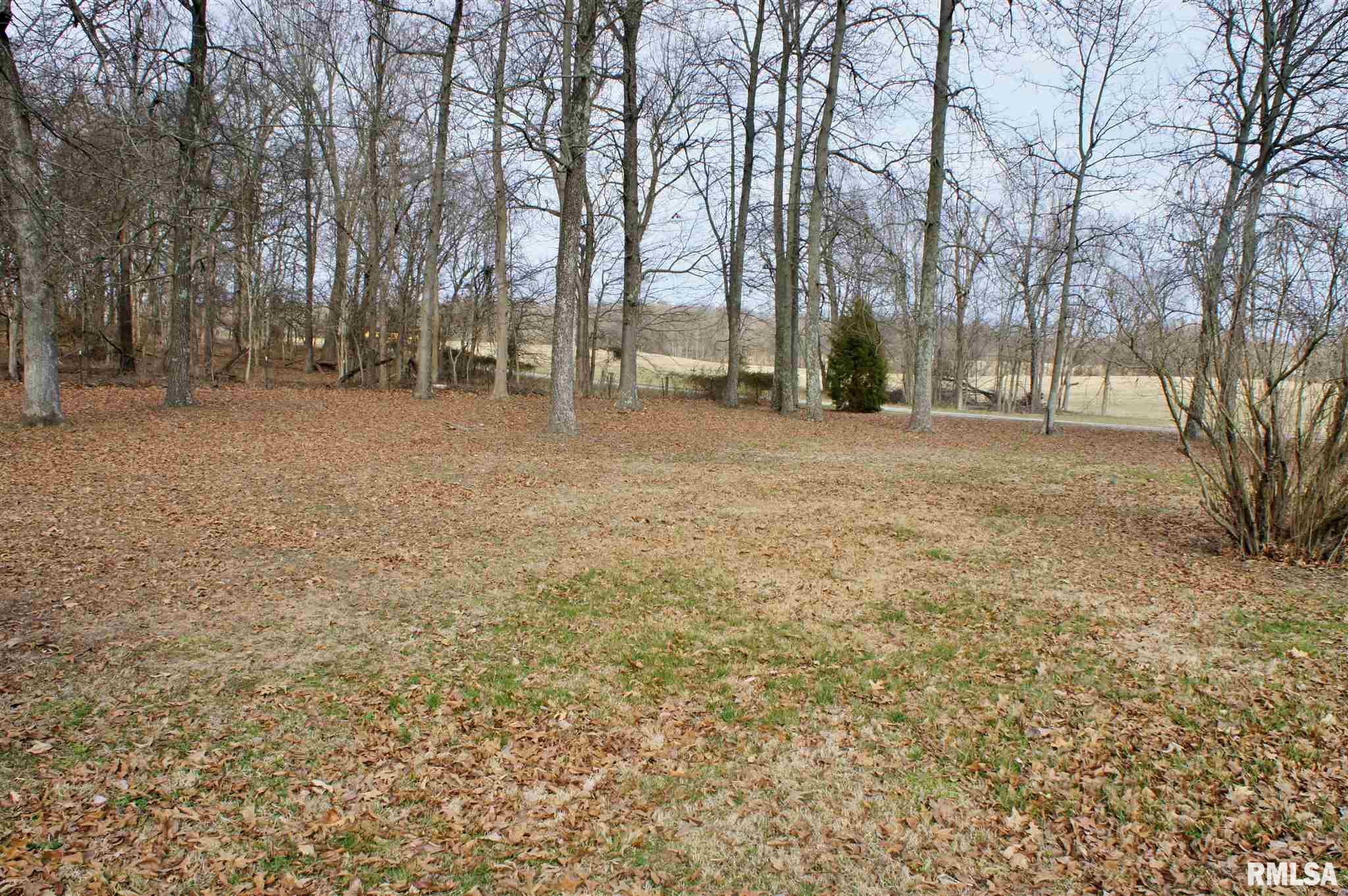 3949 Barnes Creek Road Metropolis, IL 62960 - Photo 41 of 42