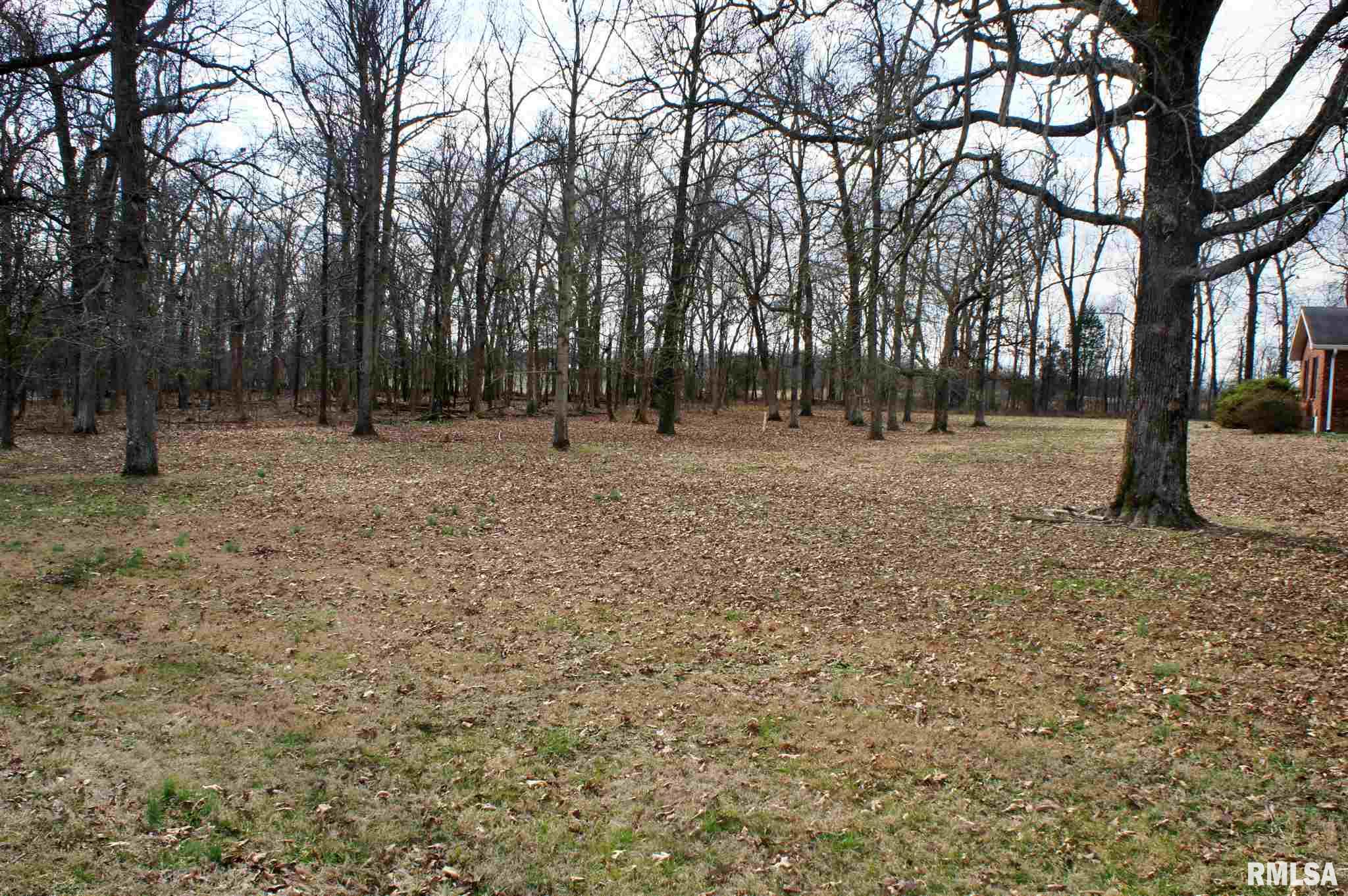 3949 Barnes Creek Road Metropolis, IL 62960 - Photo 42 of 42