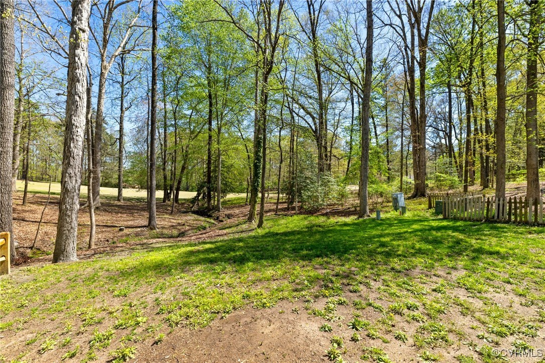 341 Rossmere Drive Midlothian, VA 23114 - Photo 35 of 41 a view of a yard with palm trees