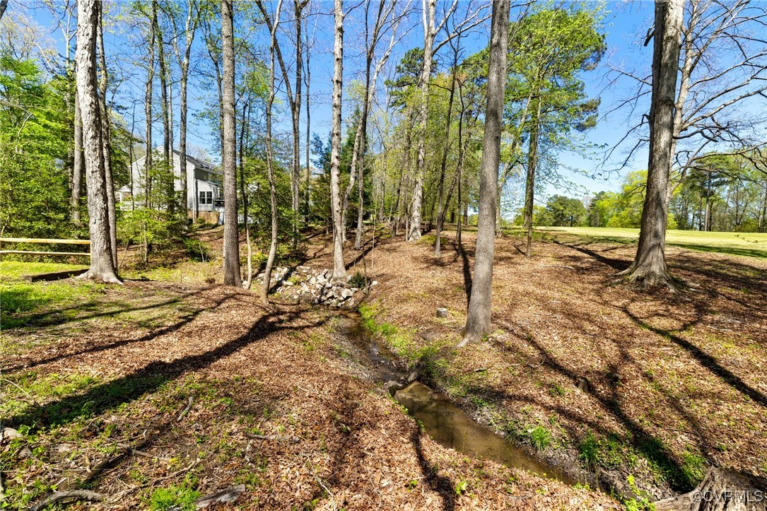 341 Rossmere Drive Midlothian, VA 23114 - Photo 38 of 41 a view of a yard with plants and trees