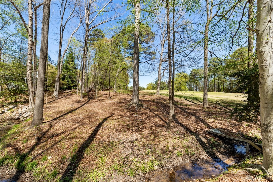 341 Rossmere Drive Midlothian, VA 23114 - Photo 39 of 41 a view of a yard with wooden fence