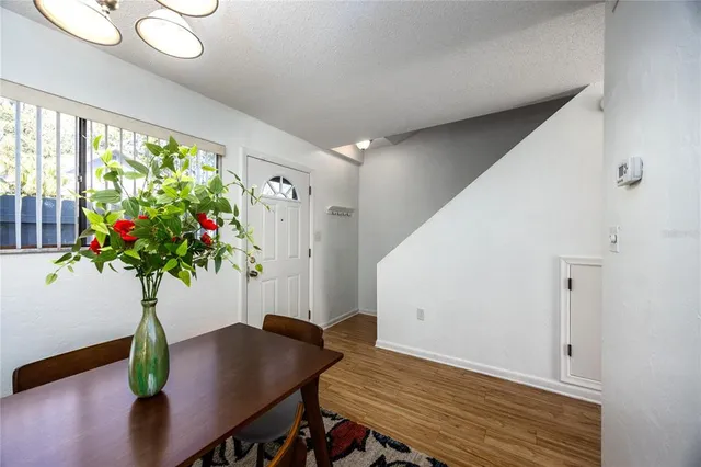 a view of a room with furniture and a potted plant