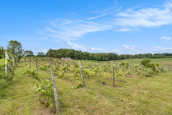 $80,000 | 56278 County Road 365, Lawrence, MI 49064