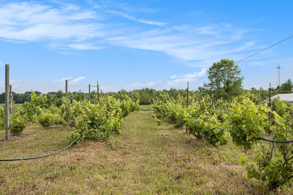 $80,000 | 56278 County Road 365, Lawrence, MI 49064