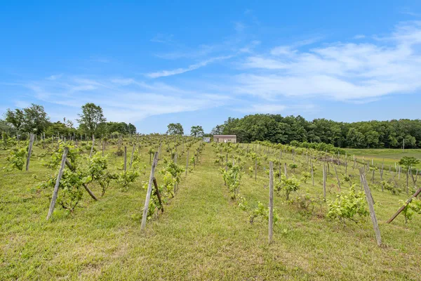 $80,000 | 56278 County Road 365, Lawrence, MI 49064