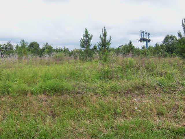 29391 Loper Road Loxley, AL 36551 - Photo 1 of 1