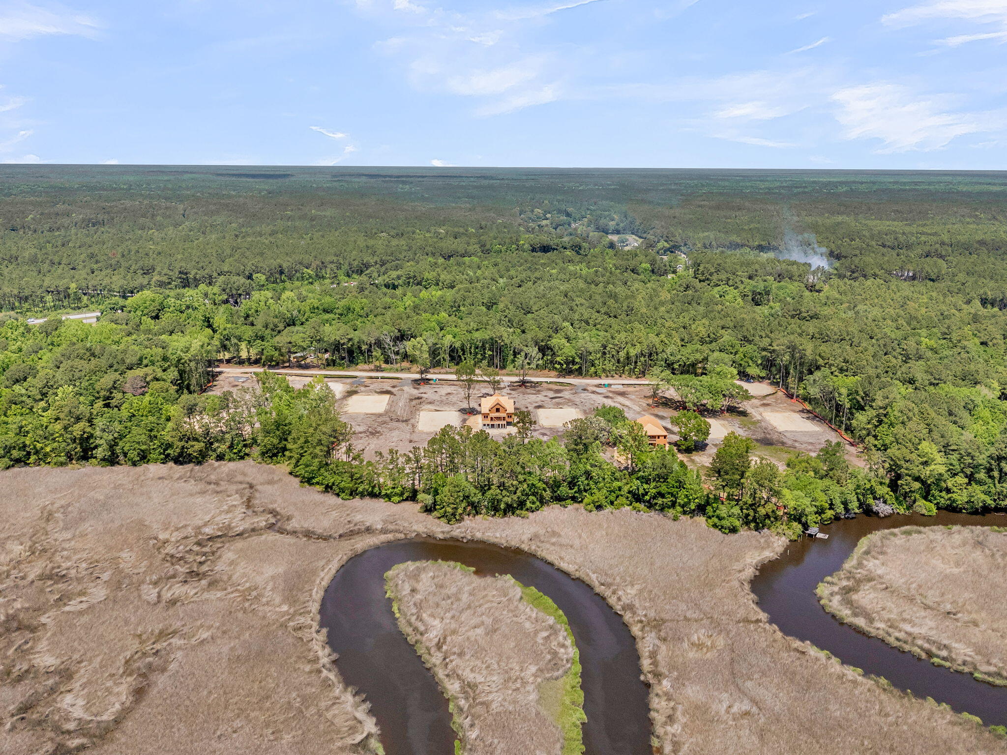1088 Theodore Brunson Road Awendaw, SC 29429 - Photo 4 of 12 CREM - 0 Theodore Brunson Rd-Homesites o
