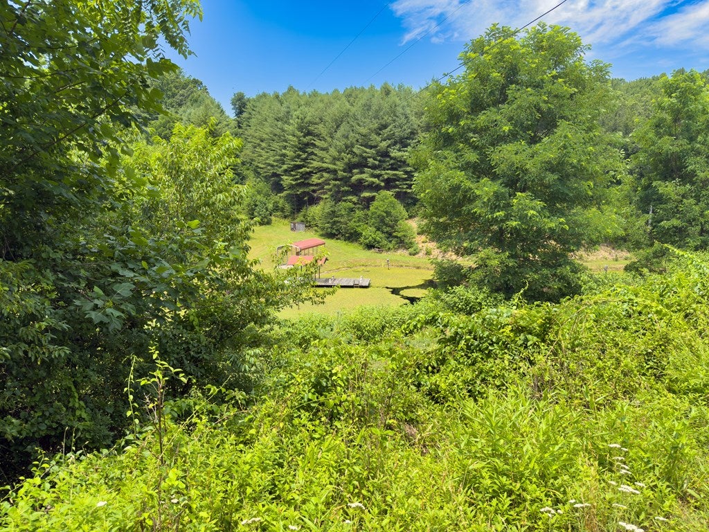 Tbd Tbd Little Vine Road Hillsville, VA 24343 - Photo 21 of 43 Gallery Image 21