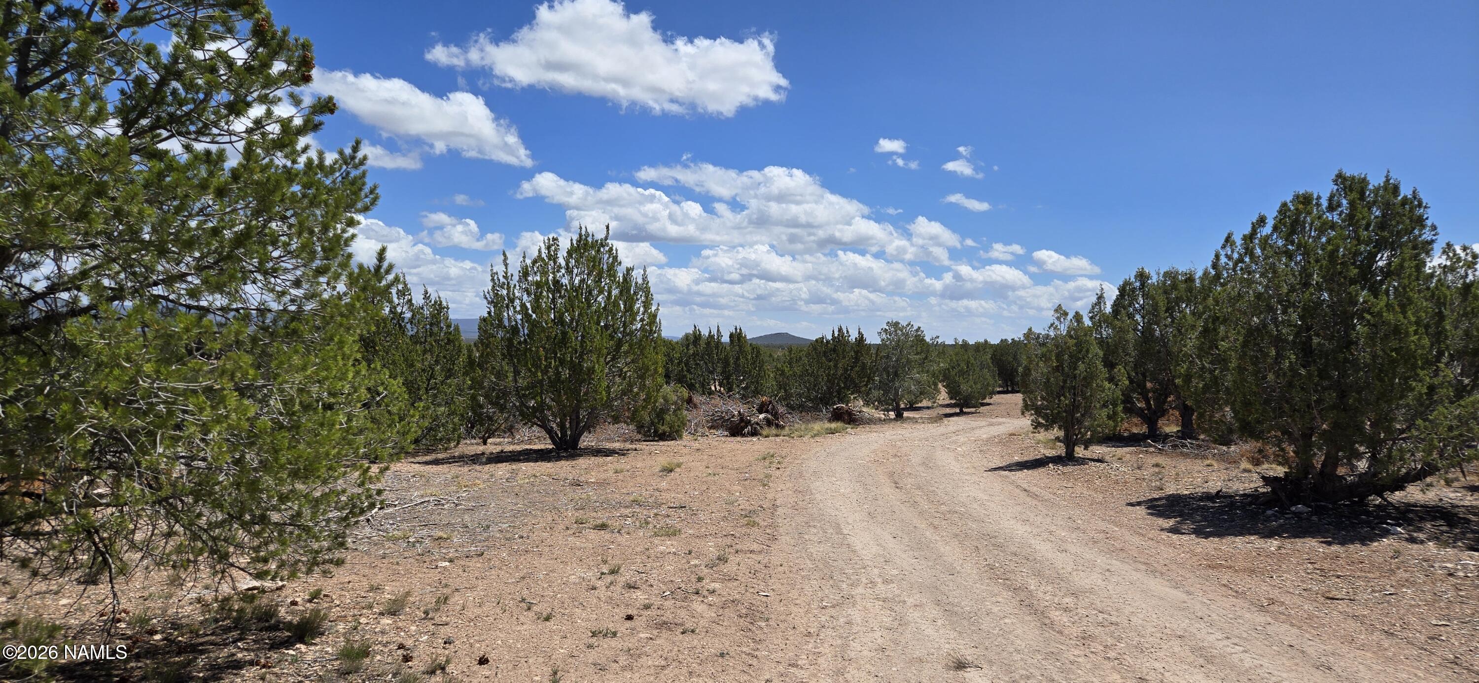 2795 Poppy Road Ash Fork, AZ 86320 - Photo 32 of 56 a view of outdoor space with trees
