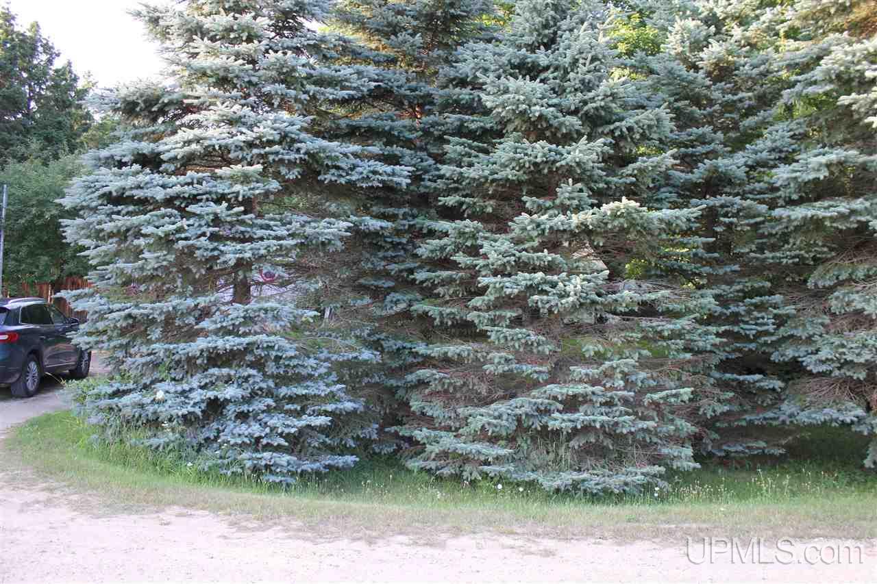 E3064 Torma Road Eben Junction, MI 49825 - Photo 28 of 28