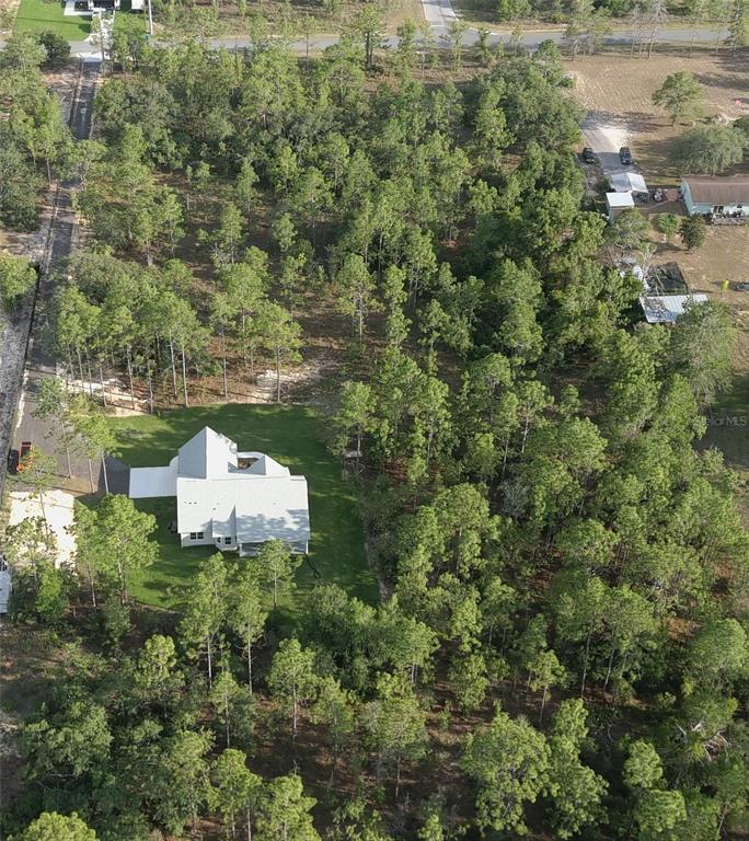 13193 Barnevelde Road Weeki Wachee, FL 34614 - Photo 70 of 71