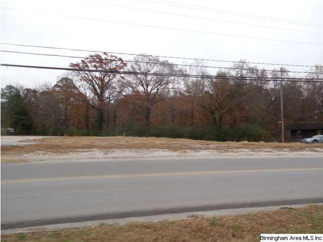 911 Hull Road Sumiton, AL 35148 - Photo 3 of 4