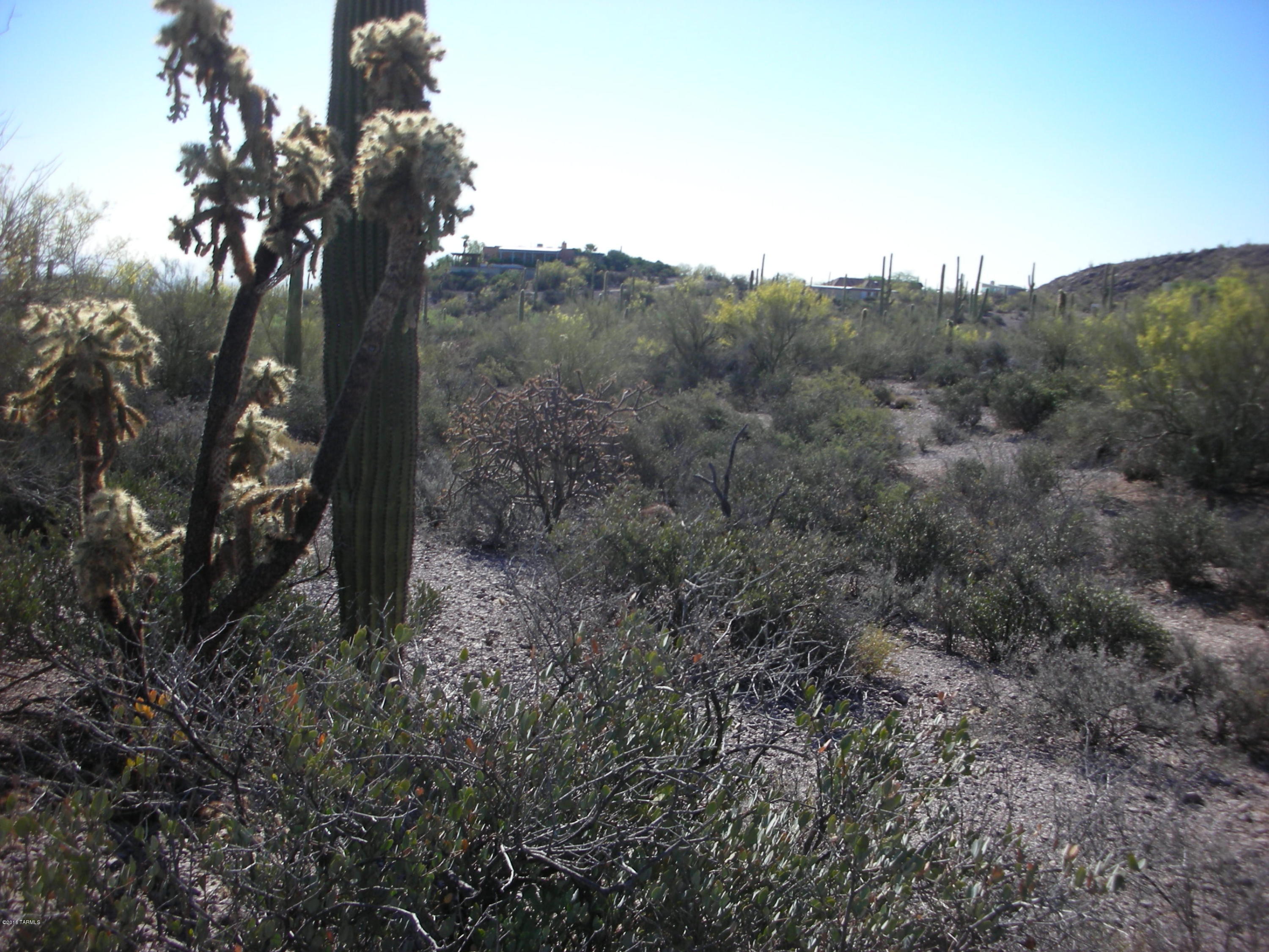 5075 West Rhyolite Loop Tucson, AZ 85745 - Photo 11 of 13 Gallery Image 11