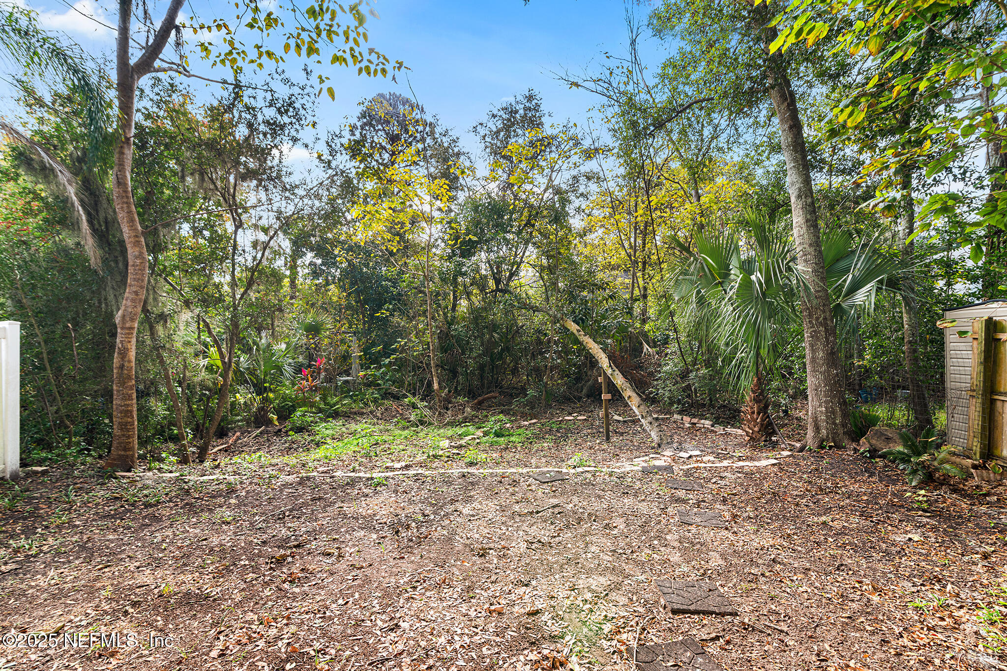 452 Dutton Island Road West Atlantic Beach, FL 32233 - Photo 23 of 25 a view of outdoor space with trees
