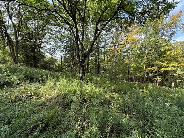 $100,000 | 815 State Highway, Cherry Valley, NY 13320