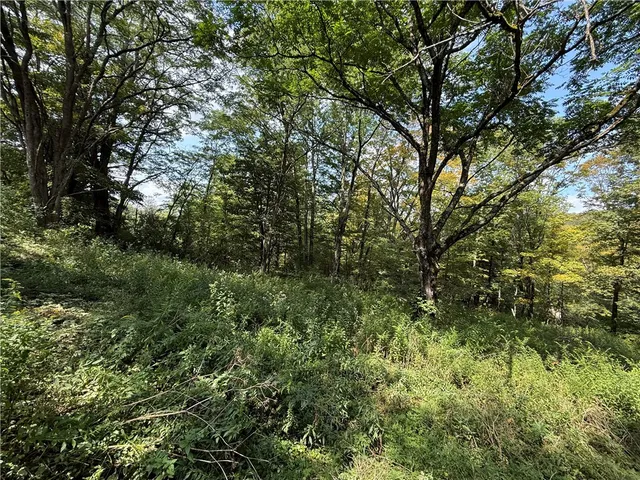 $100,000 | 815 State Highway, Cherry Valley, NY 13320