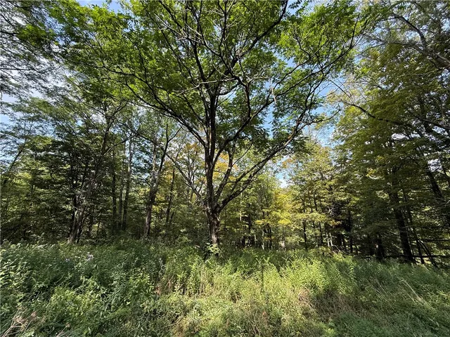 $100,000 | 815 State Highway, Cherry Valley, NY 13320