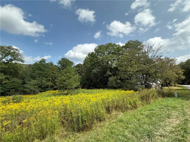 $100,000 | 815 State Highway, Cherry Valley, NY 13320