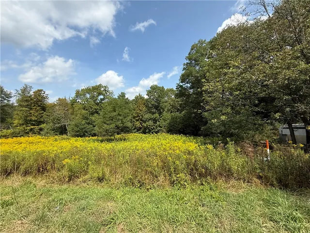 $100,000 | 815 State Highway, Cherry Valley, NY 13320