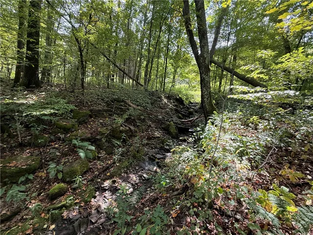 $100,000 | 815 State Highway, Cherry Valley, NY 13320